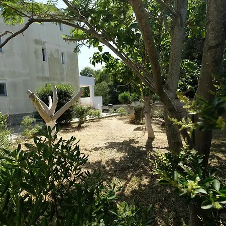 Cozy Summer In The Woods - Rhodes *