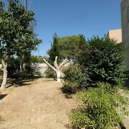Cozy Summer In The Woods - Rhodes Appartamento